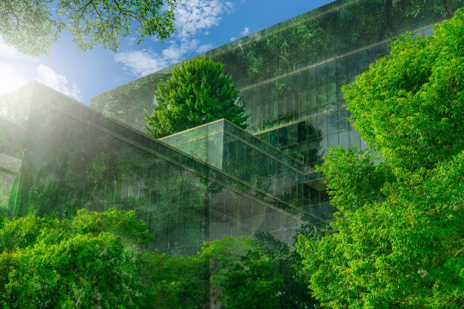 Professional Certificate of Competency in Green Building: Carbon Management in Infrastructure