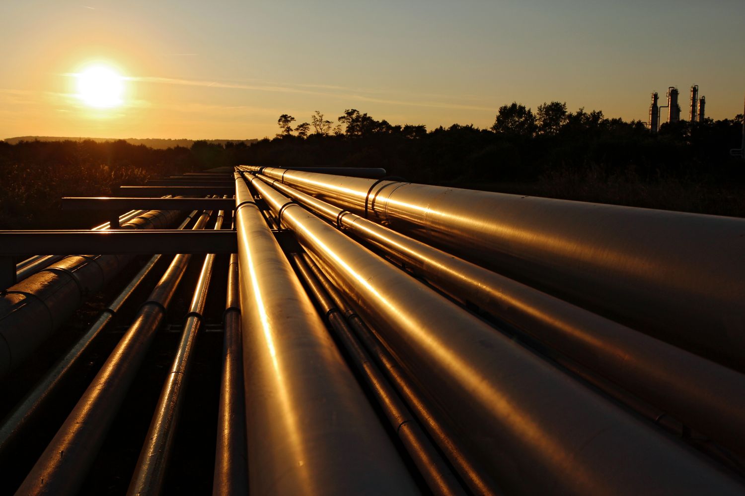 Professional Certificate of Competency in Onshore and Offshore Pipeline Systems