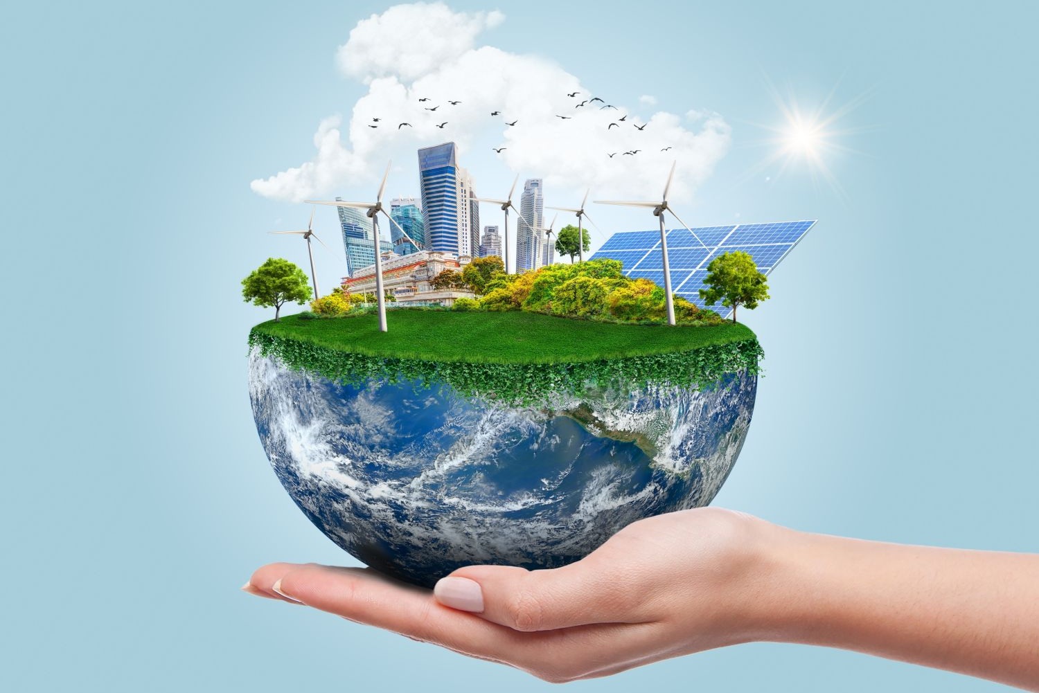 52859WA Graduate Certificate in Renewable Energy Technologies