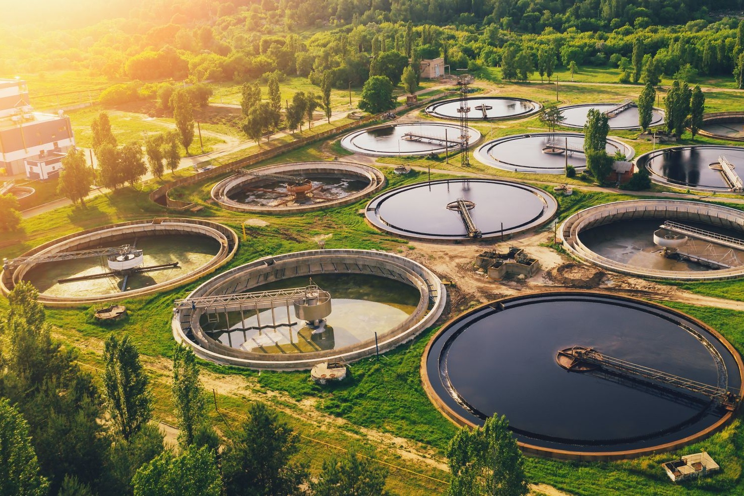 Professional Certificate of Competency in Sewage & Effluent Treatment Technologies