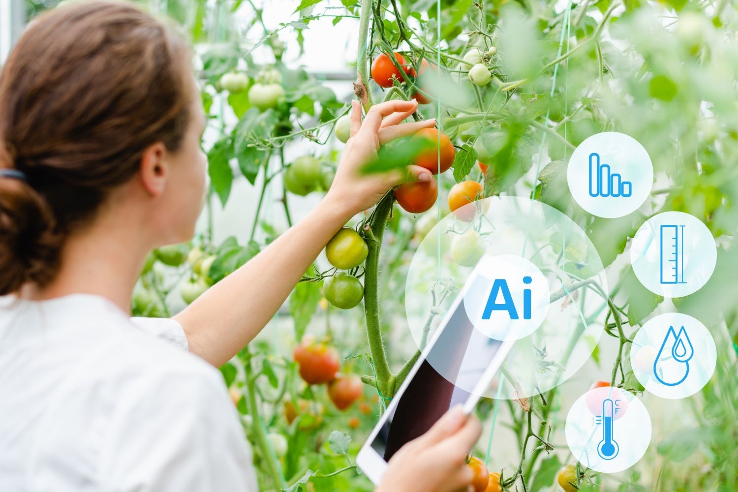 Professional Certificate of Competency in Advanced Plant Maintenance and AI-Driven Predictive Technologies